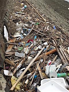 成ヶ島クリーン作戦